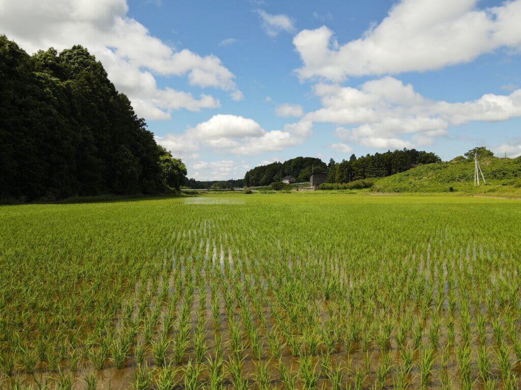 メタンガス抑制